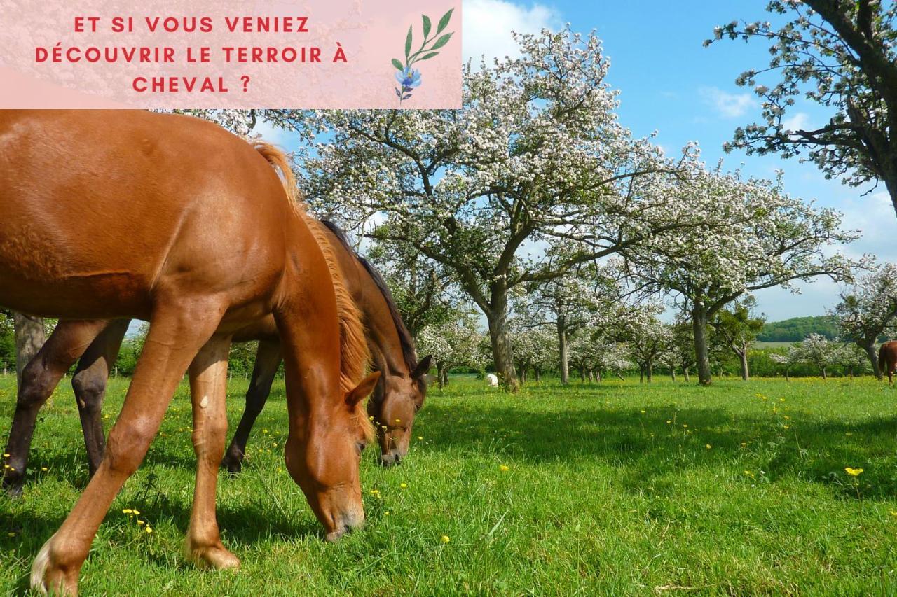 Suite Jungle - Jardin, Netflix Et Parking - Le Manoir Aux Pommes Orbec Bagian luar foto